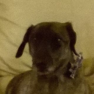 Mervyn Drew's avatar