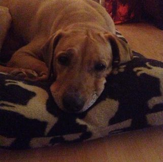 Debbie Grainger's avatar