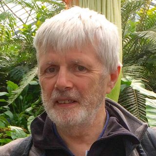 Ian Beamish's avatar