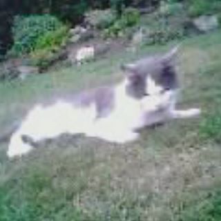 Jeane Jones's avatar