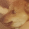M B's avatar