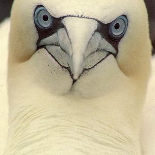 Mel Dunstan's avatar