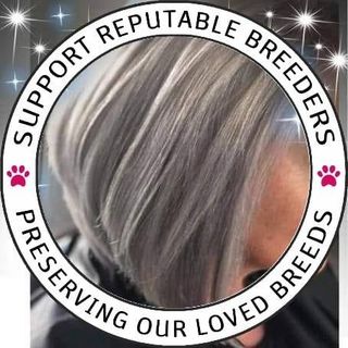 Joanne Evans's avatar