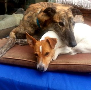 Stuart Roberts's avatar