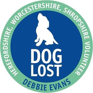 Debbie Evans's avatar