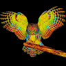 S A's avatar