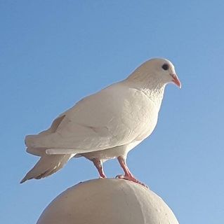Cath Davis's avatar