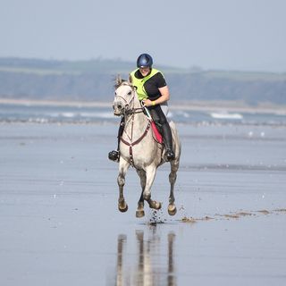 Dorothy Bodle's avatar