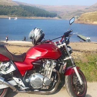 Steve Walsh's avatar