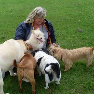 Sharon Griffiths's avatar