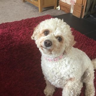 Annette Mayze's avatar