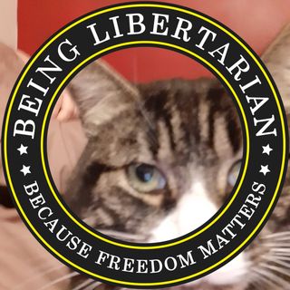 Jane Lady-Janeicorn Coles's avatar