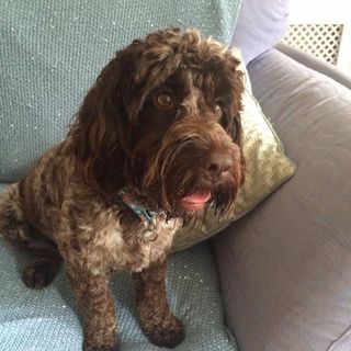 Julie Renson's avatar