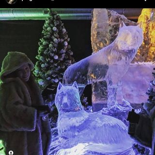 Paige Firman's avatar