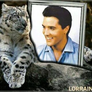 Anne Robertson's avatar