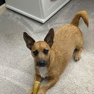 Zoe Holdsworth's avatar