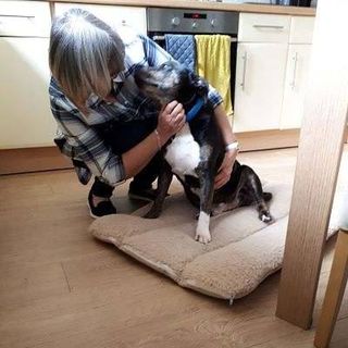 Marion Goodman's avatar