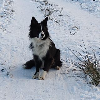 Paul Boardman's avatar