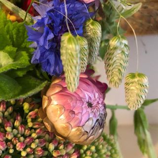 Hilary Bull's avatar