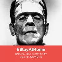 David Loosley's avatar