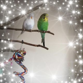 Juliette Eley's avatar