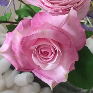 Gaynor Mitchell's avatar