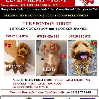 Natalie Farrar's avatar