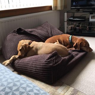 Alison Forbes's avatar