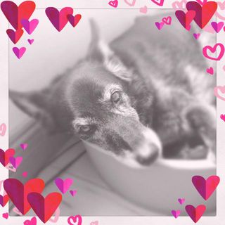 Gill Lambell's avatar