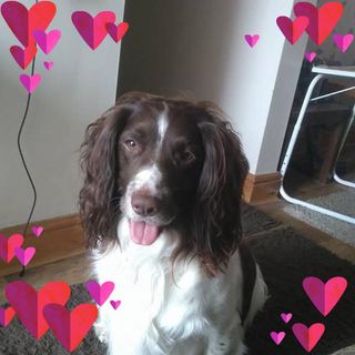 Peter Lewis's avatar