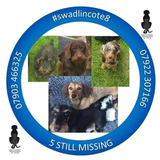 Jennifer Wilson-Neasom's avatar