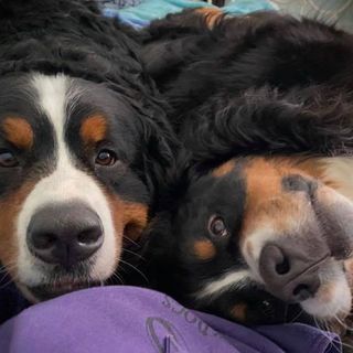 Alison Kay Evans's avatar