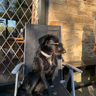 Andy Grantham's avatar