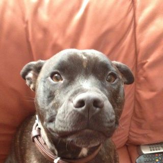 Kate Callaghan's avatar