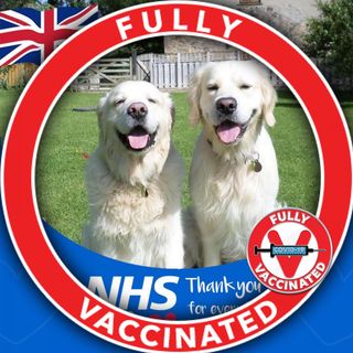 Keith L F Perks's avatar