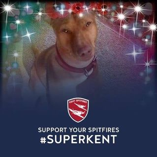 David Tailby's avatar