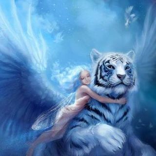 Dott Quince's avatar