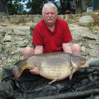 David Ferguson's avatar