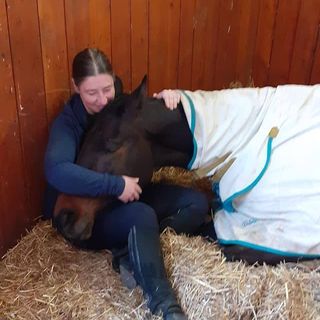 Sarah Hindmarsh's avatar