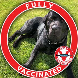 Shirley Ann Forsyth's avatar