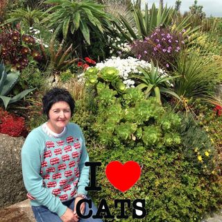 Tracy Ingram's avatar