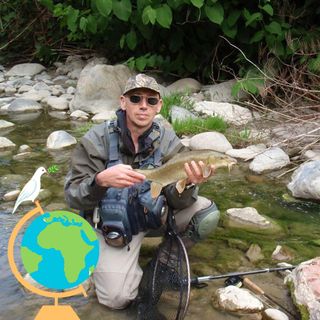 Graeme Sharp's avatar