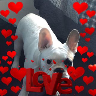 Jasmine Pautsch's avatar