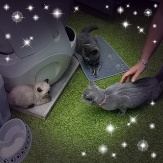 Jacky Hathaway's avatar