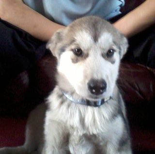 Georgina Peachey's avatar