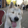 Brian Purves's avatar
