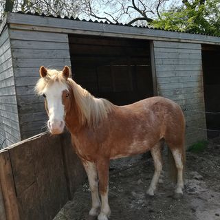 Elaine Porton's avatar