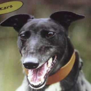 Susan Branson's avatar