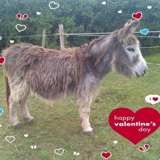 Carol Patten's avatar