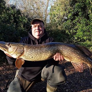 Martyn Wicks's avatar